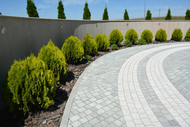 Best Residential Paver Driveway  in Glade Spring, VA